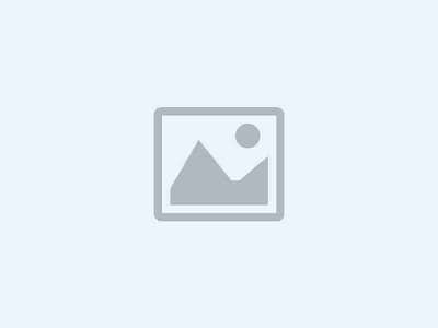 placeholder wire image 1